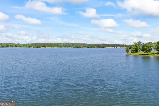 $1,600,000 | 160 Evans Road, Bogart, GA 30622