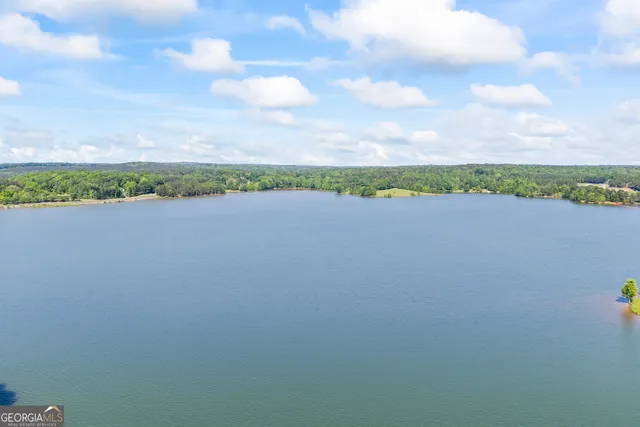 $1,600,000 | 160 Evans Road, Bogart, GA 30622