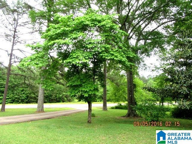 2400 Plant Road Talladega, AL 35160 - Photo 33 of 34