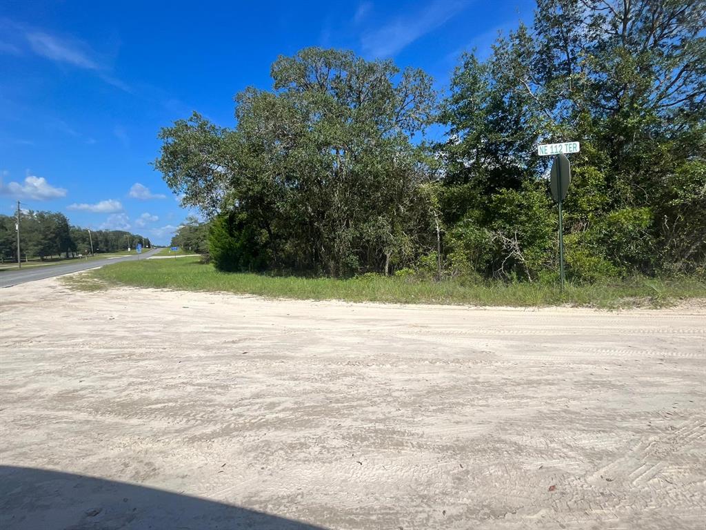 27 23-12-17 Oak Ridge Estates Williston, FL 32696 - Photo 4 of 4