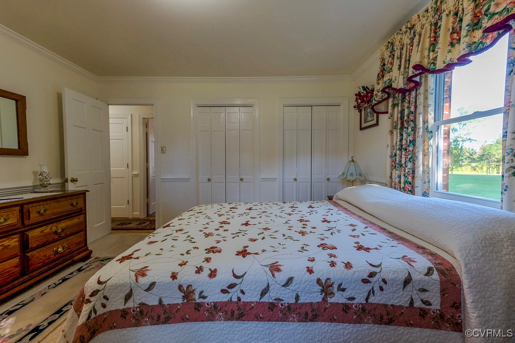 1893 Gallion Town Road Victoria, VA 23974 - Photo 29 of 41 Bedroom with ornamental molding and multiple close