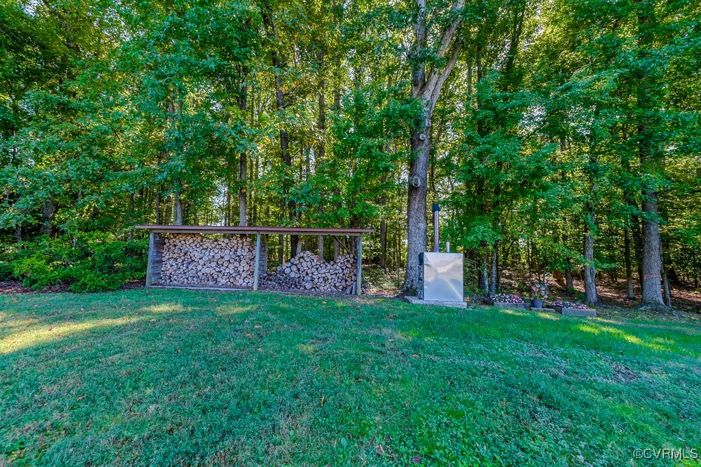 1893 Gallion Town Road Victoria, VA 23974 - Photo 5 of 41 View of yard
