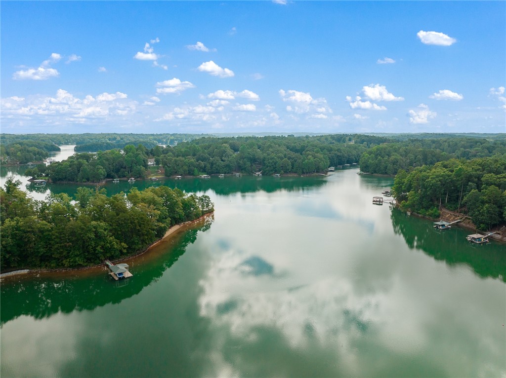 1230 Melton Road, Unit 87 West Union, SC 29696 - Photo 40 of 48