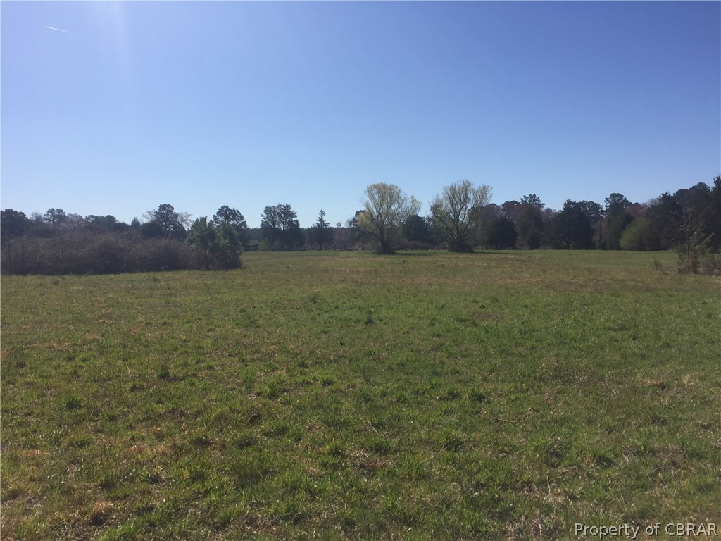 617 North River Road Foster, VA 23056 - Photo 4 of 5