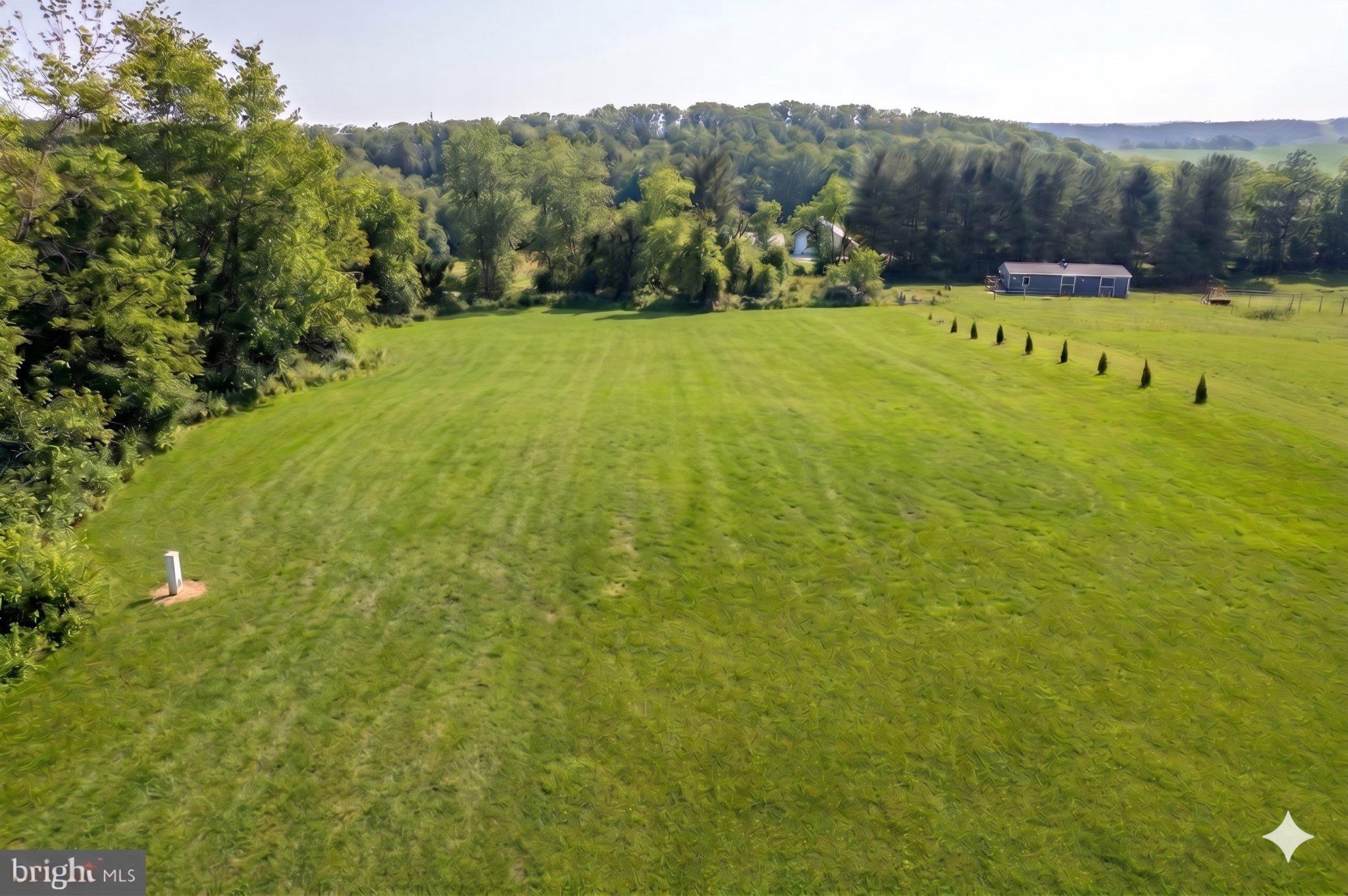 a view of a back yard