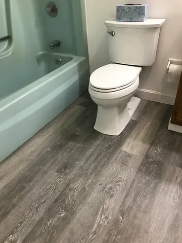 a bathroom with a toilet and a bathtub
