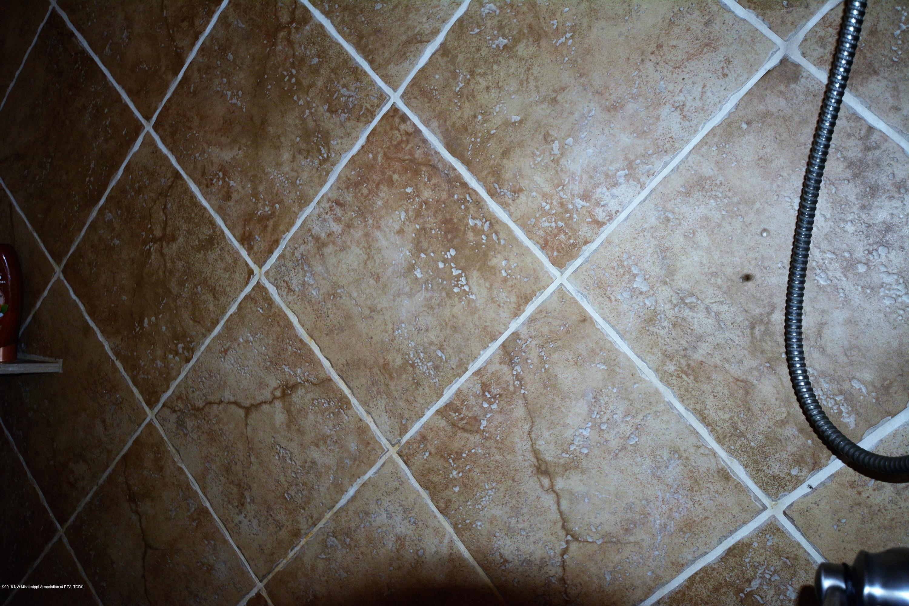 3368 Scott Road Hernando, MS 38632 - Photo 15 of 22 Walk-in Shower Title