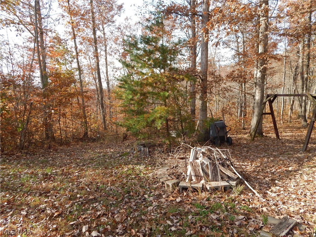 1782 Glendale Road Cairo, WV 26337 - Photo 19 of 23