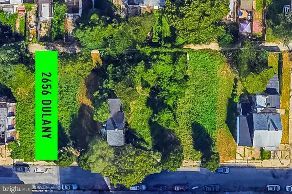 a view of a garden with plants