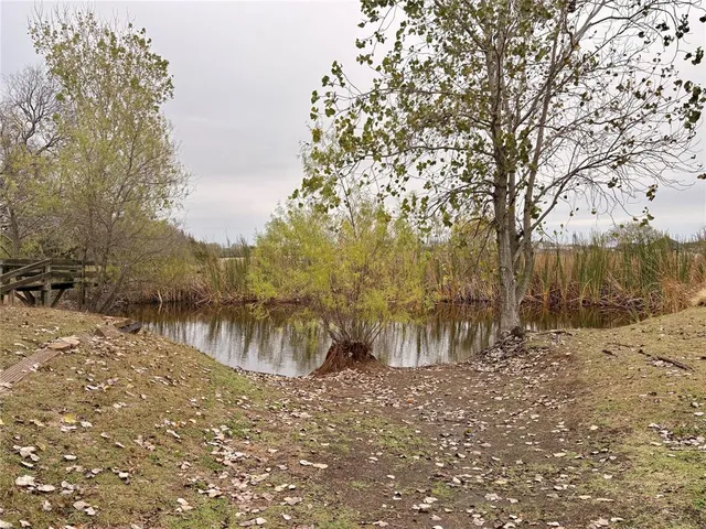 an aerial view of ocean and trees