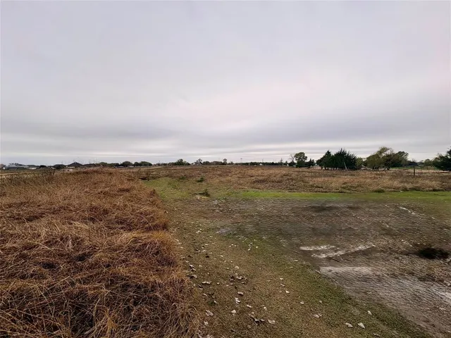 a view of a field with grass and trees