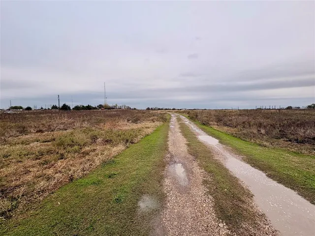 a view of a lake with palm trees