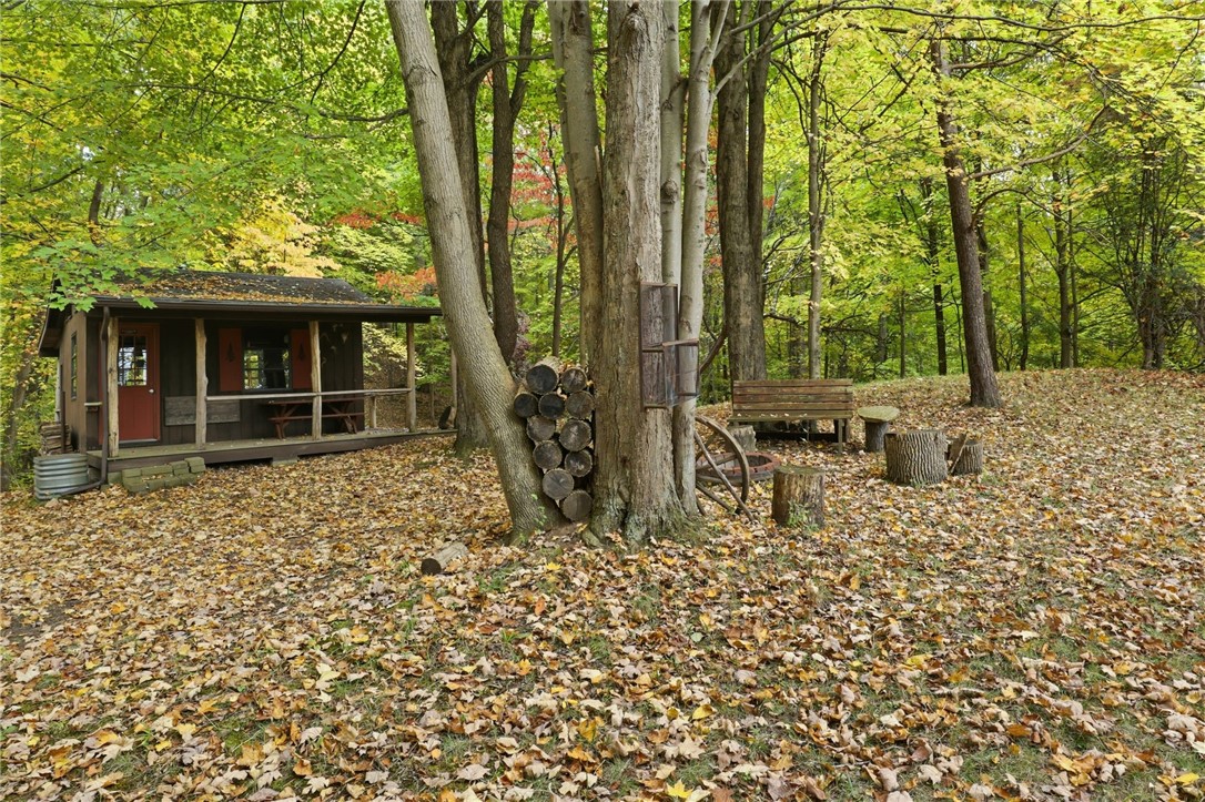 Cheese Factory Road Honeoye Falls, NY 14472 - Photo 13 of 24