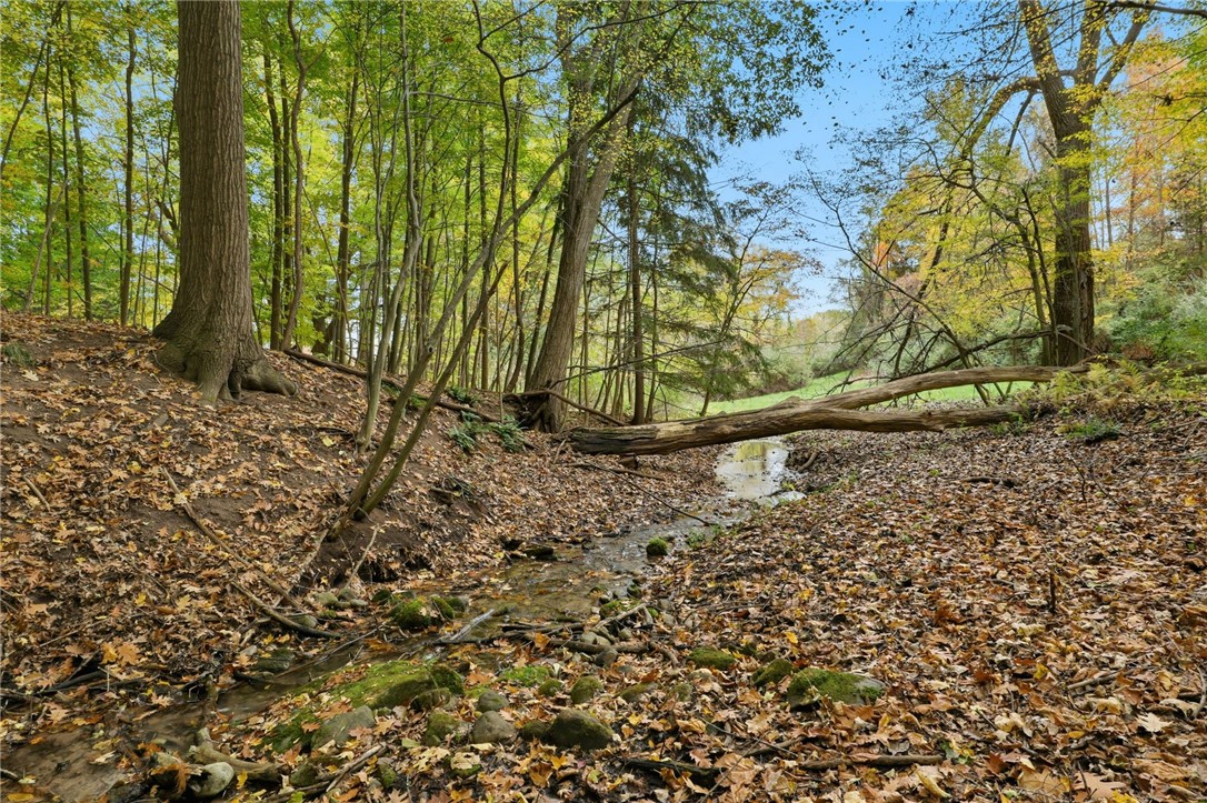 Cheese Factory Road Honeoye Falls, NY 14472 - Photo 15 of 24