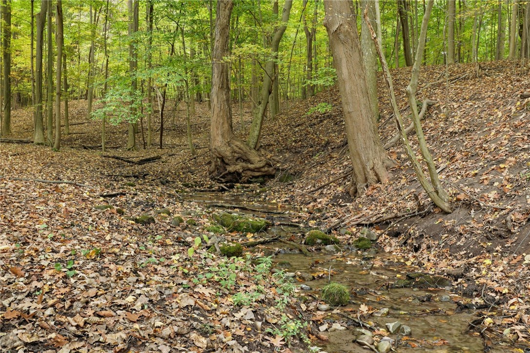 Cheese Factory Road Honeoye Falls, NY 14472 - Photo 16 of 24