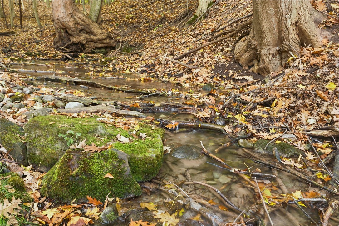 Cheese Factory Road Honeoye Falls, NY 14472 - Photo 17 of 24