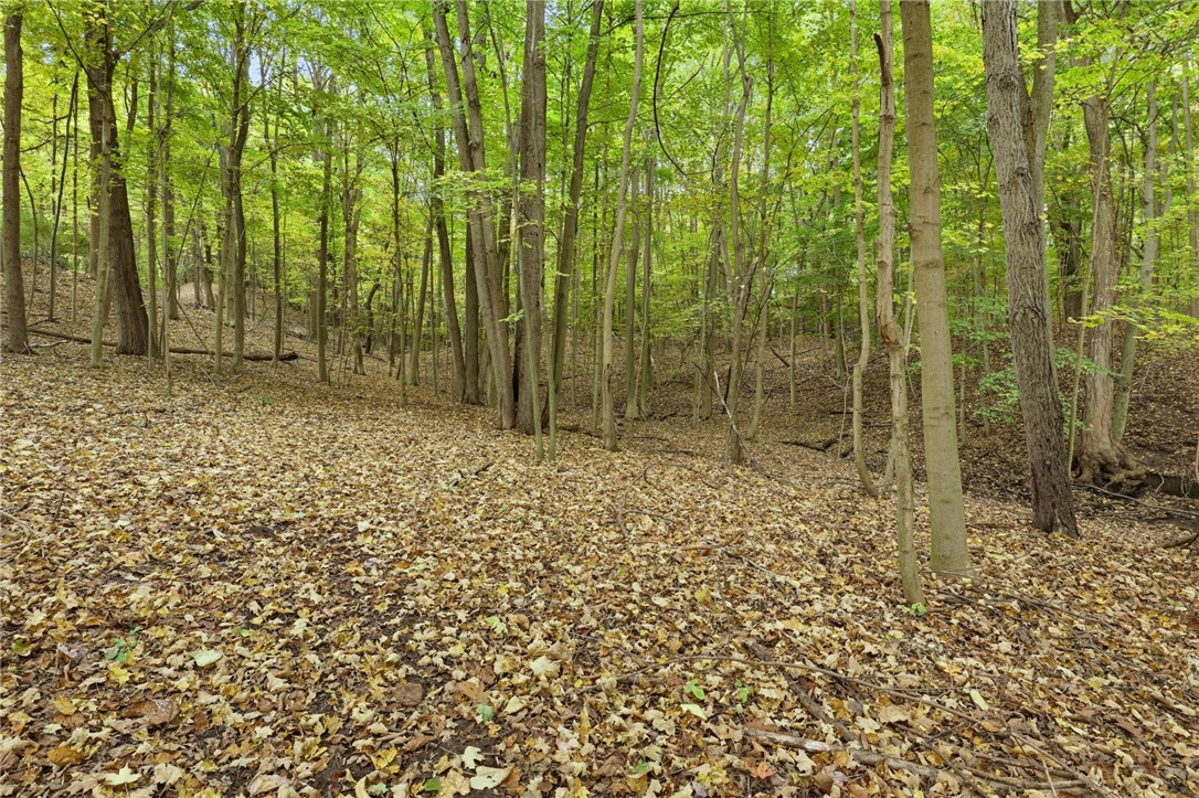 Cheese Factory Road Honeoye Falls, NY 14472 - Photo 18 of 24