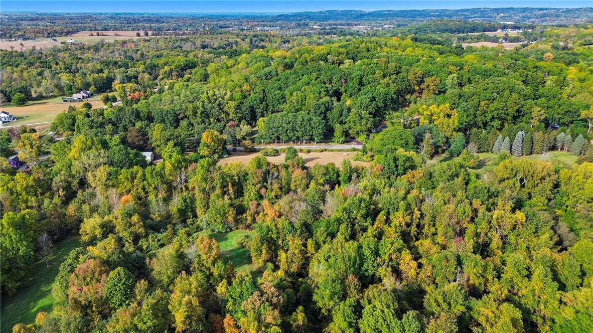 Cheese Factory Road Honeoye Falls, NY 14472 - Photo 19 of 24