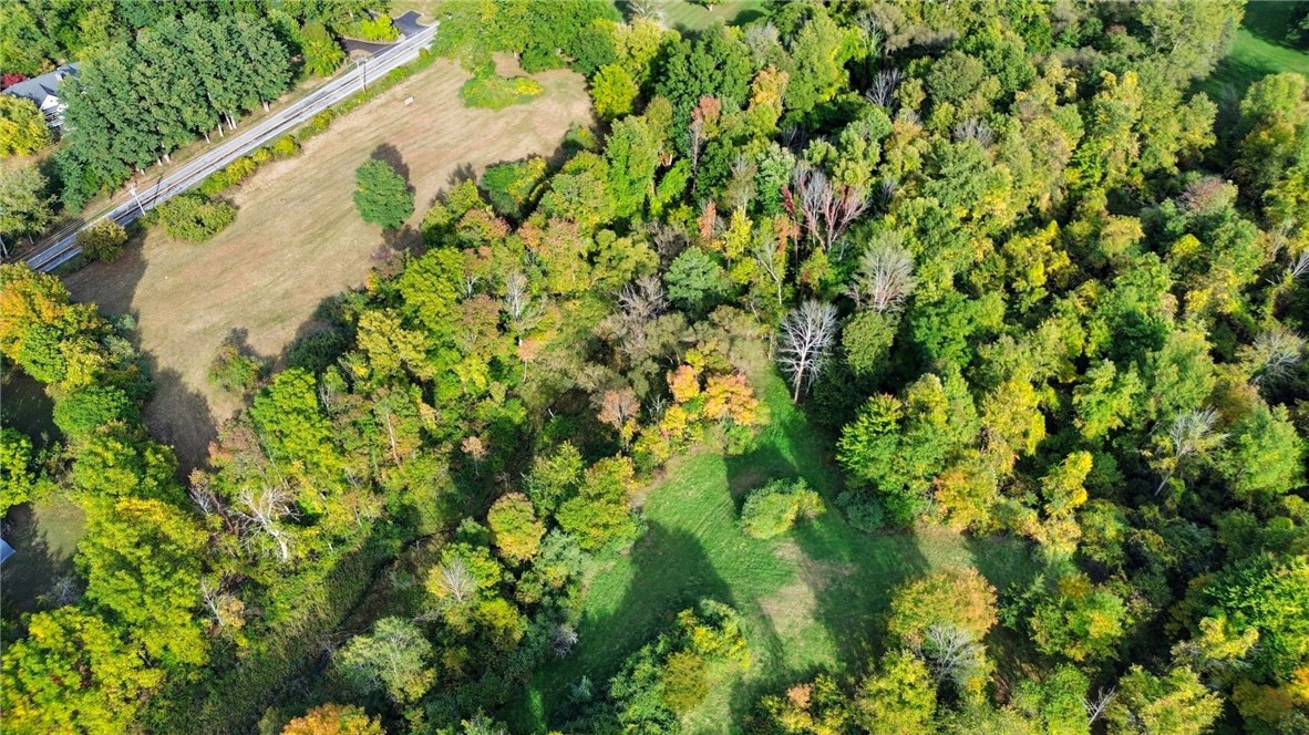 Cheese Factory Road Honeoye Falls, NY 14472 - Photo 20 of 24