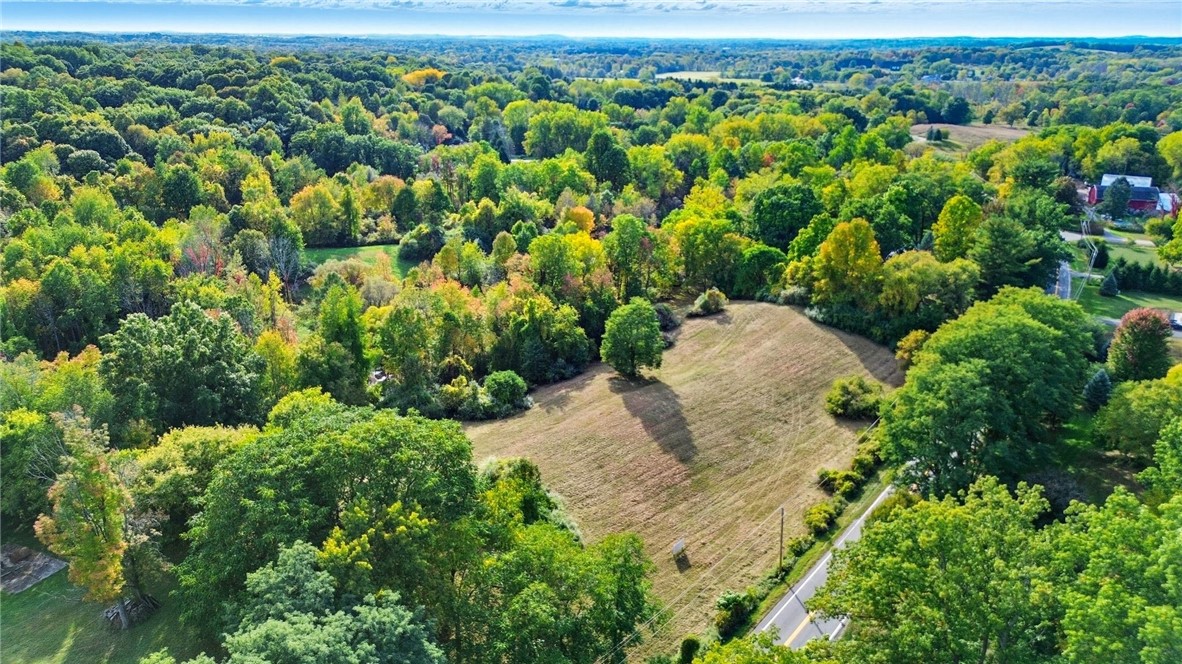 Cheese Factory Road Honeoye Falls, NY 14472 - Photo 3 of 24