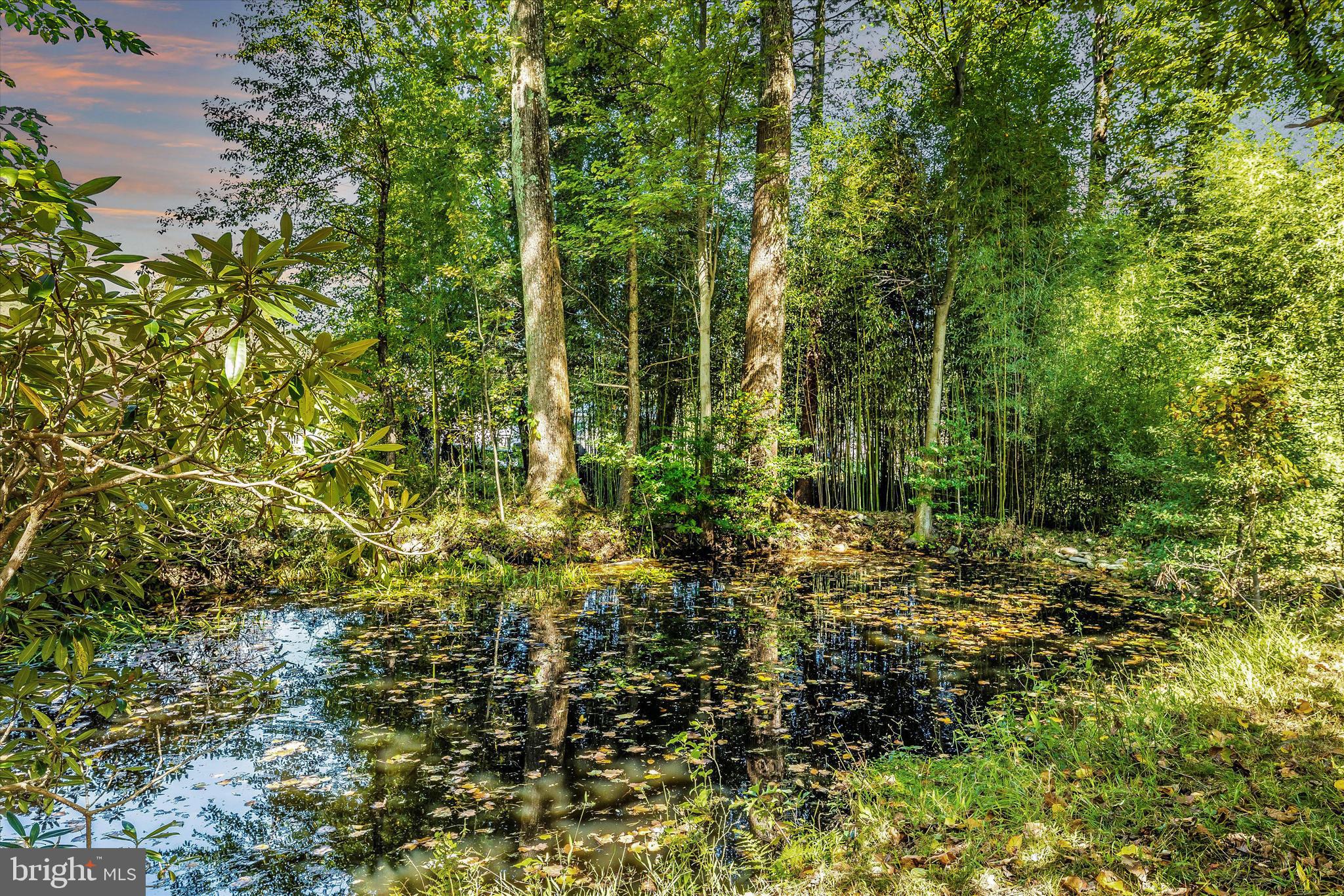 10317 Putman Road Frederick, MD 21702 - Photo 3 of 44 Pond