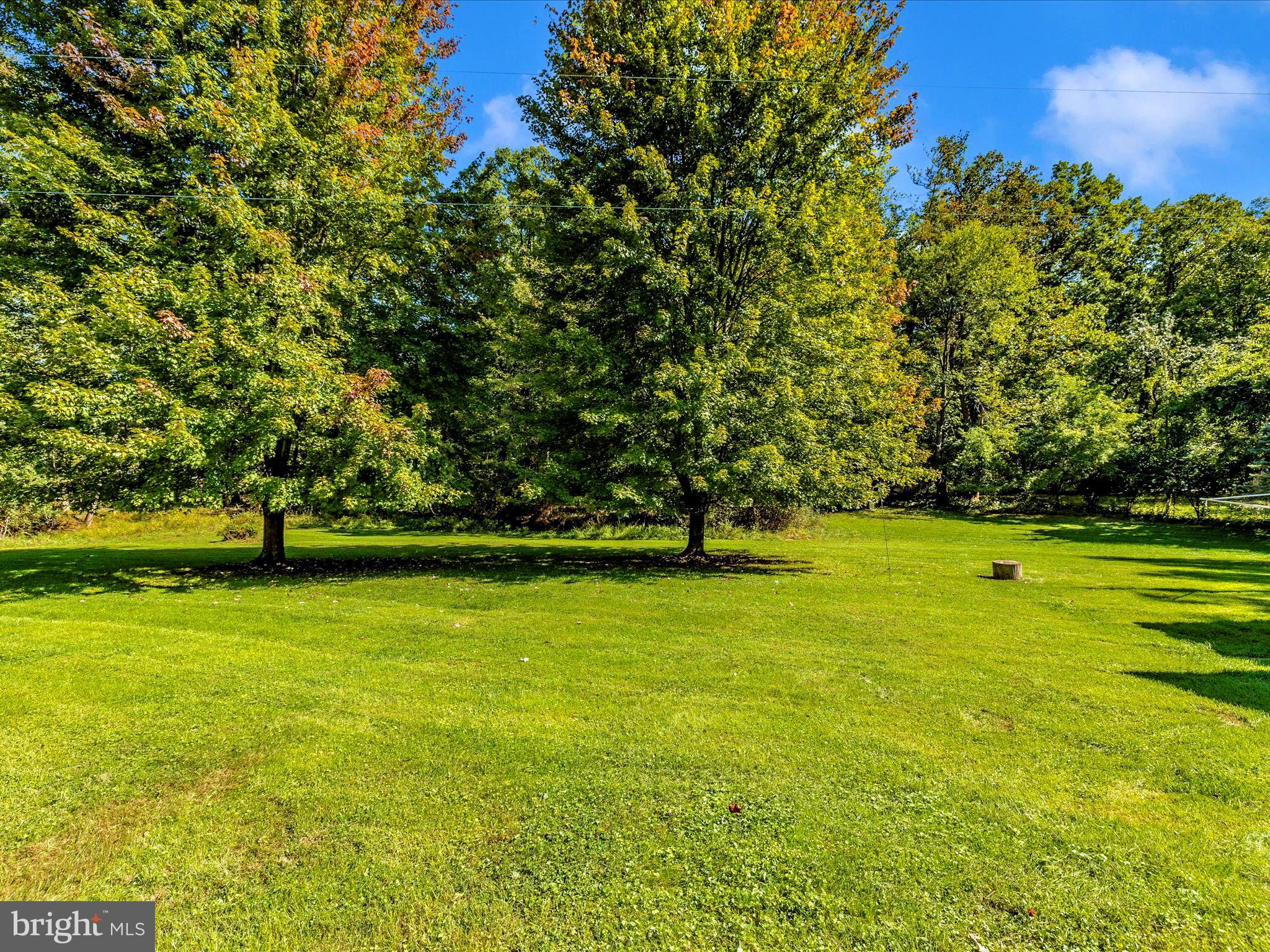 10317 Putman Road Frederick, MD 21702 - Photo 44 of 44 Exterior Back with nature and privacy galore!