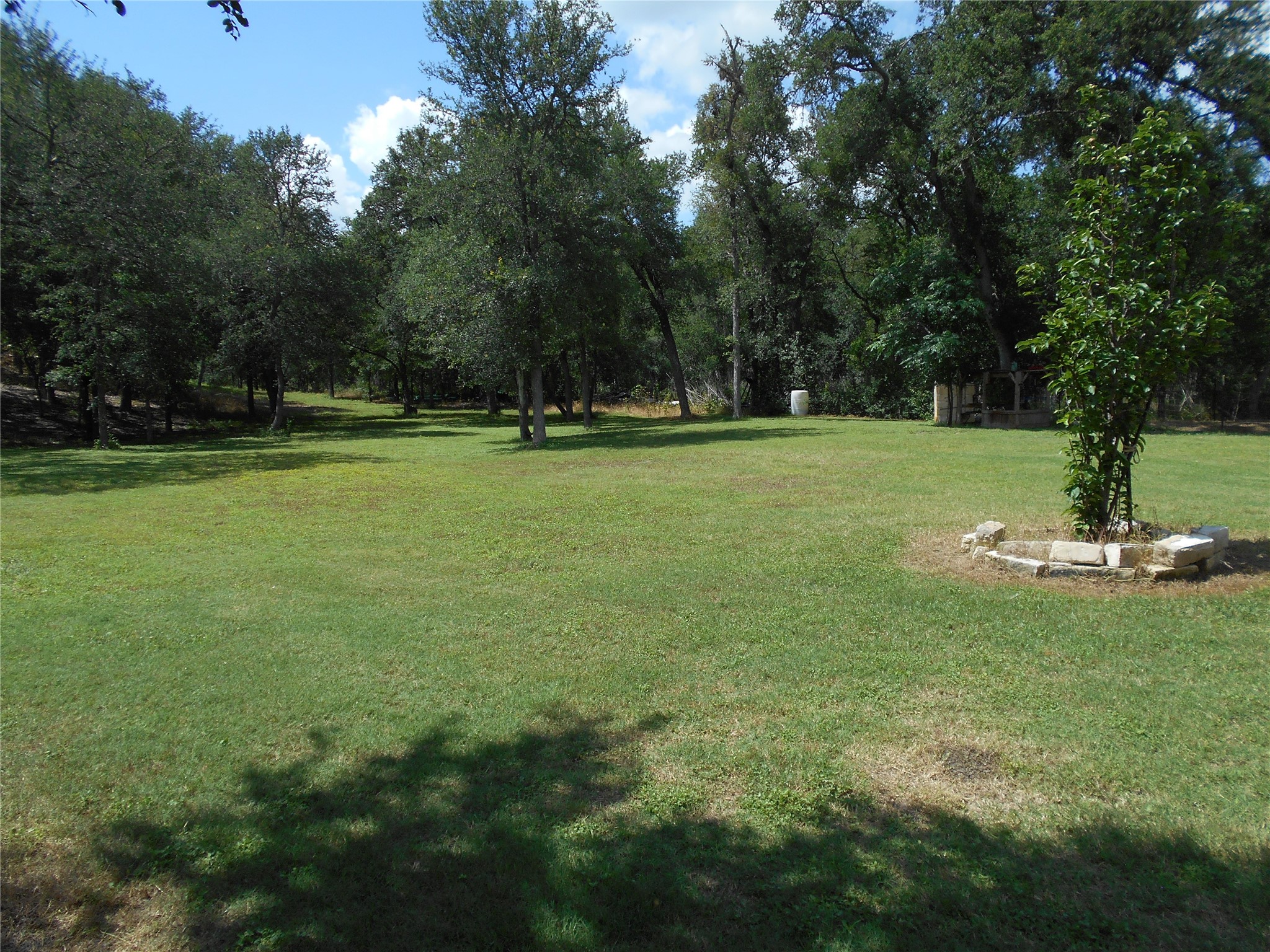 8001 Burleson Manor Road Manor, TX 78653 - Photo 22 of 31 A spacious, verdant yard awaits, framed by a natural tree line perfect for outdoor enjoyment.
