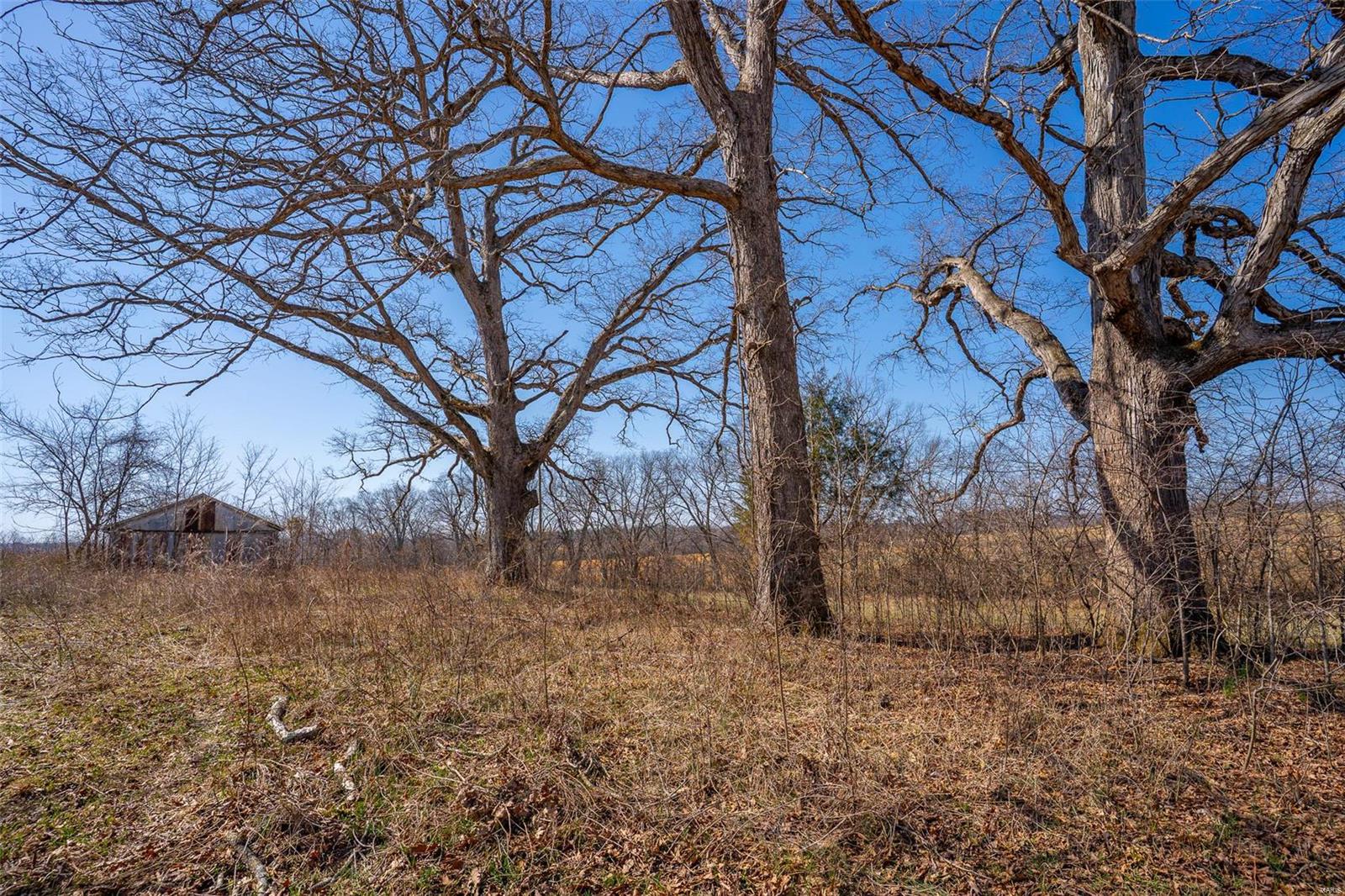 0 County Road 546 Jackson, MO 63755 - Photo 11 of 25