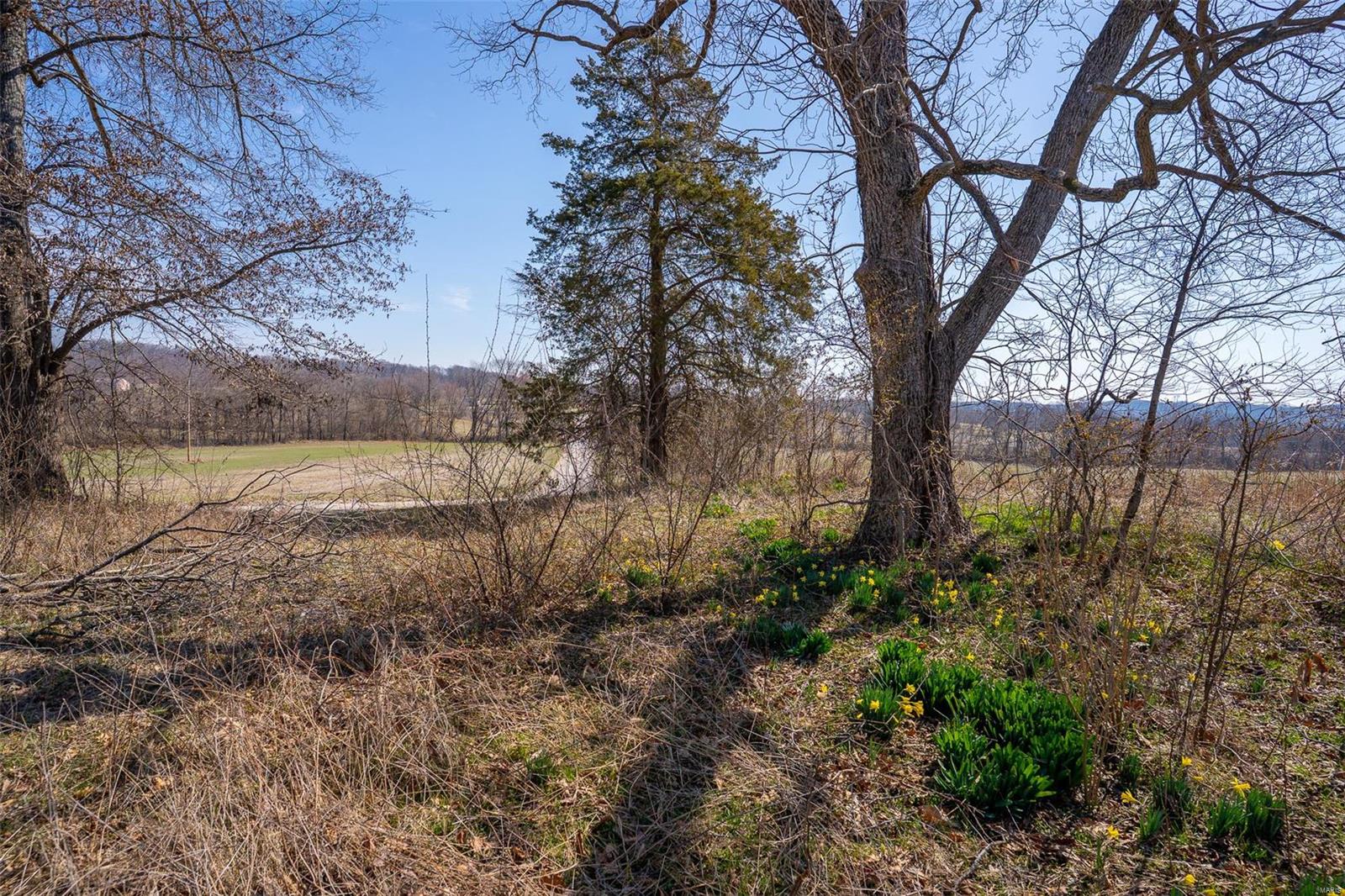 0 County Road 546 Jackson, MO 63755 - Photo 12 of 25