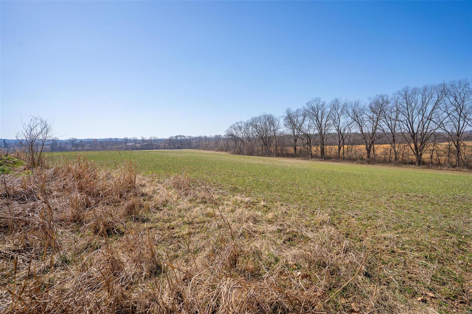 0 County Road 546 Jackson, MO 63755 - Photo 13 of 25