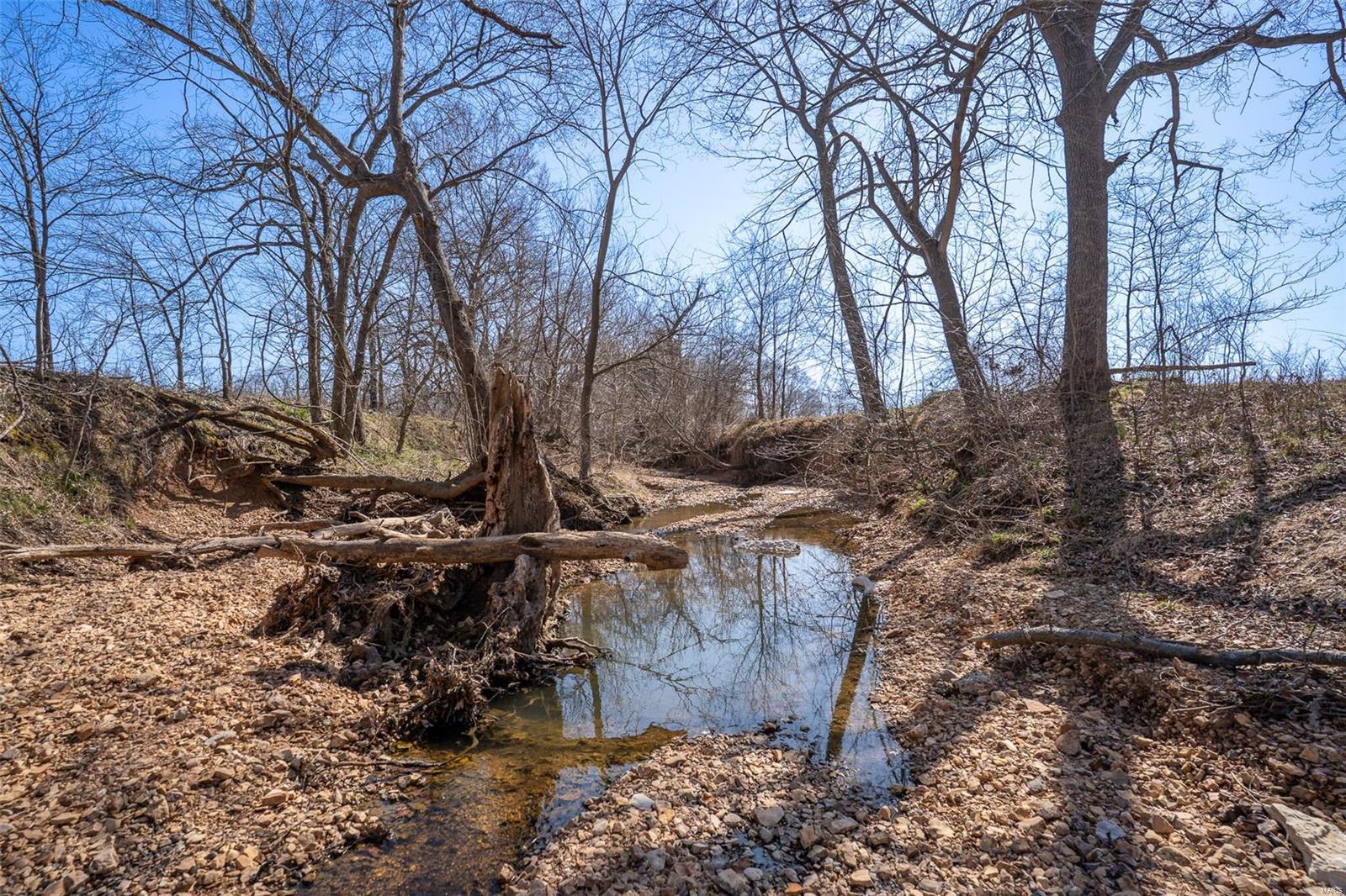 0 County Road 546 Jackson, MO 63755 - Photo 17 of 25