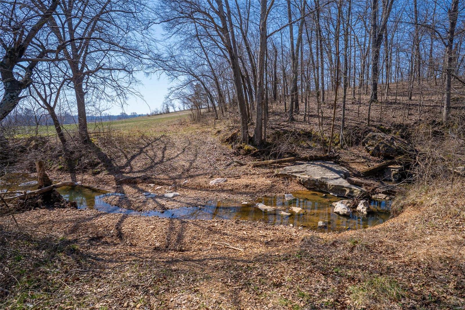 0 County Road 546 Jackson, MO 63755 - Photo 19 of 25