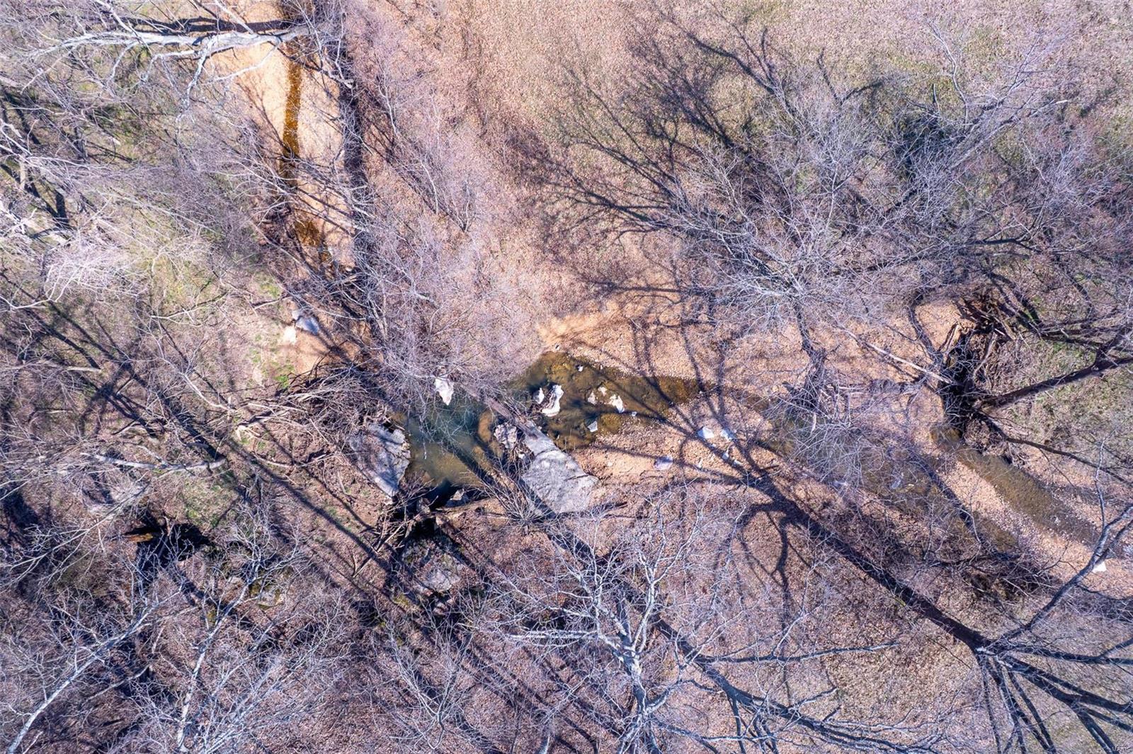 0 County Road 546 Jackson, MO 63755 - Photo 3 of 25