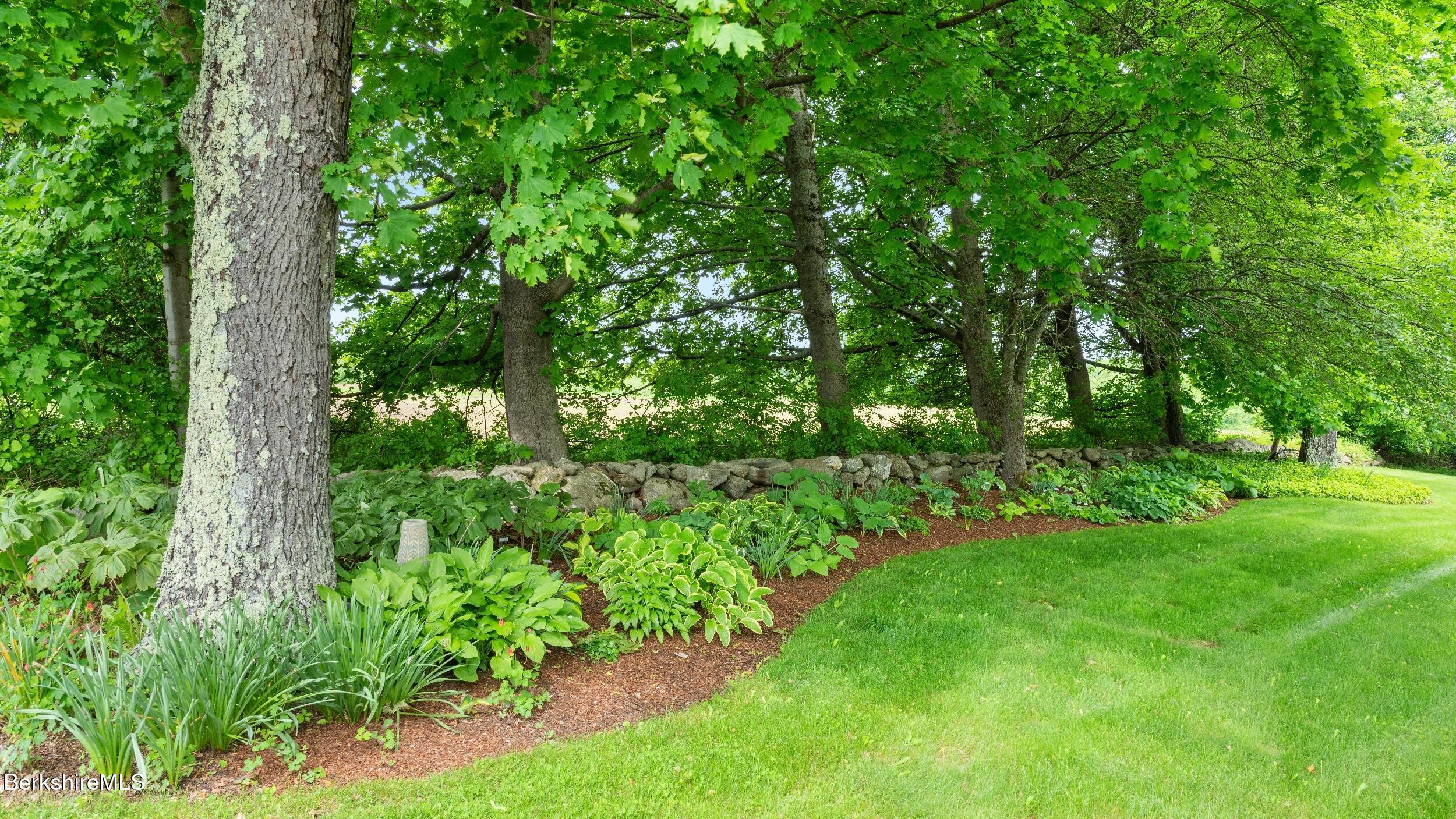 24 Baldwin Hill Road East Egremont, MA 01230 - Photo 36 of 47 a view of a lush green space