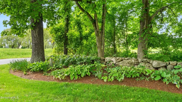 a view of a garden with plants