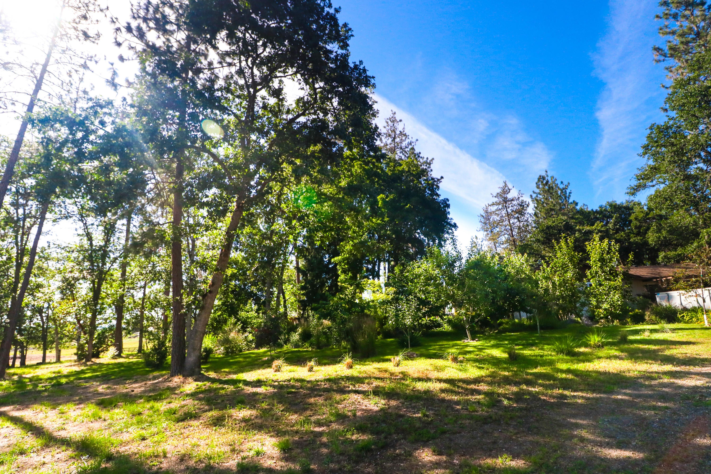711 Gibbon Road Central Point, OR 97502 - Photo 2 of 30 711 Gibbon Road (1 of 26)