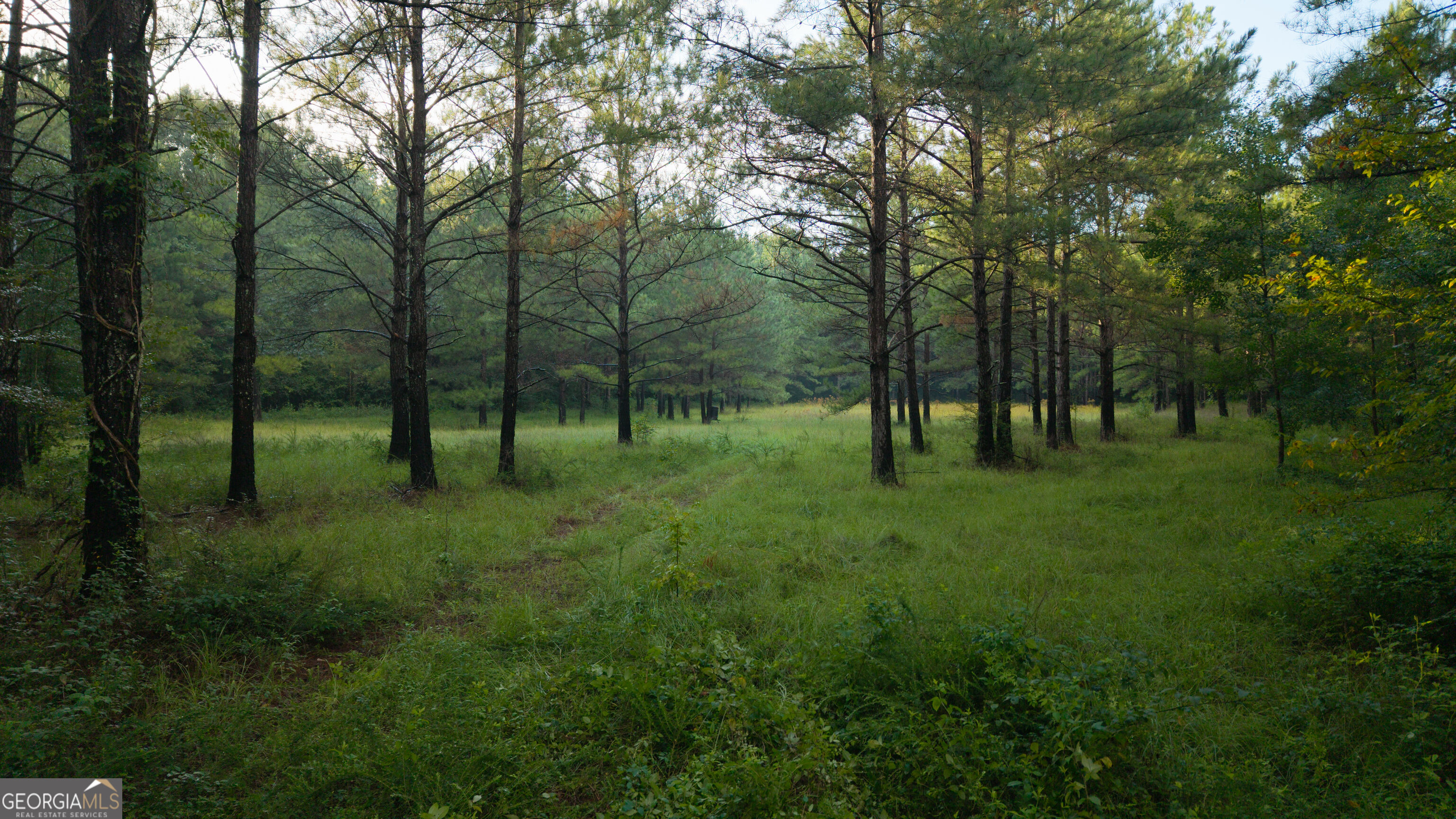 0 Chatham St Road Montezuma, GA 31063 - Photo 7 of 21 Gallery Image 7