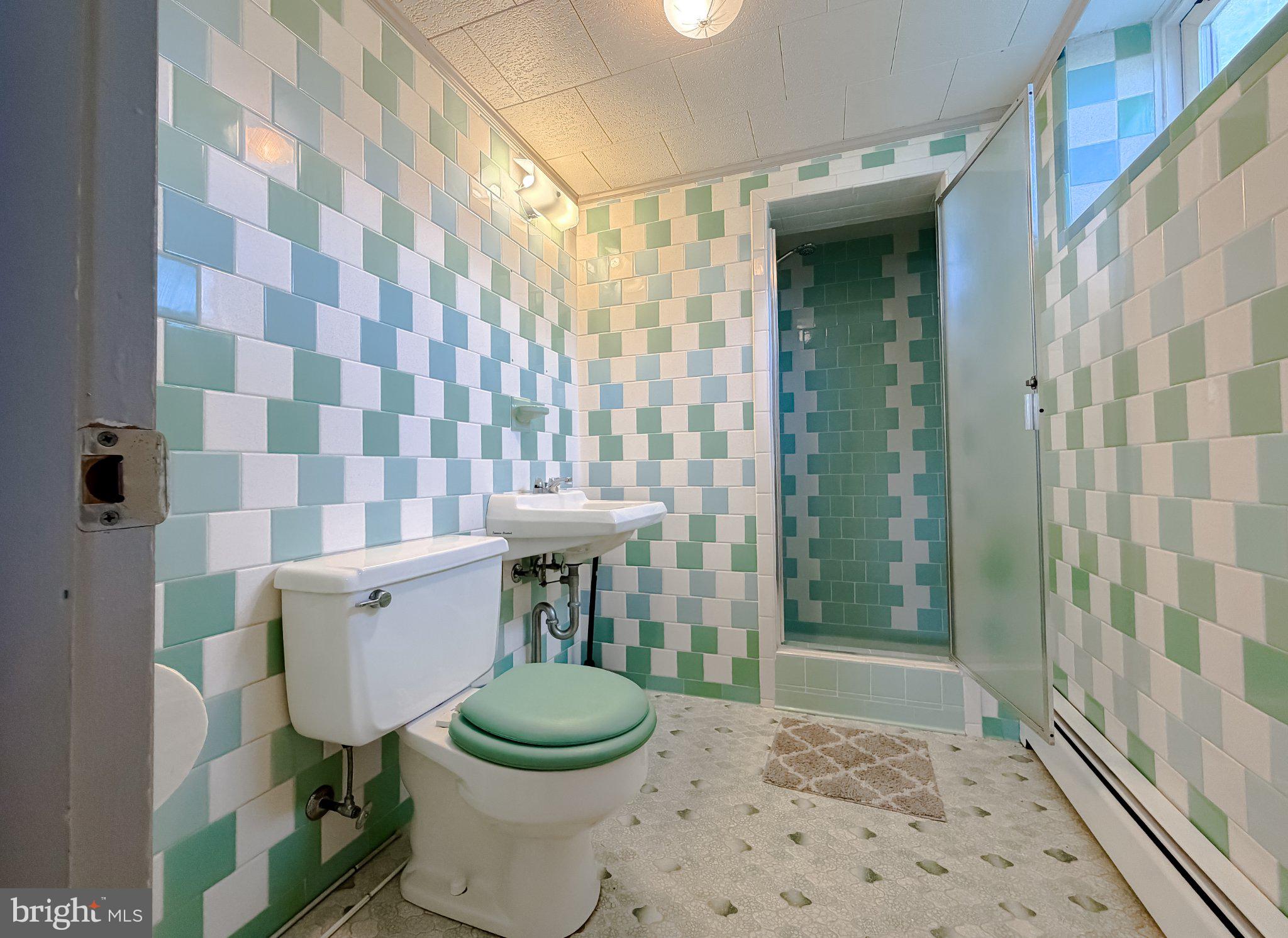 23230 Colton Point Road Avenue, MD 20609 - Photo 48 of 63 Charming retro bathroom with vibrant tiles.
