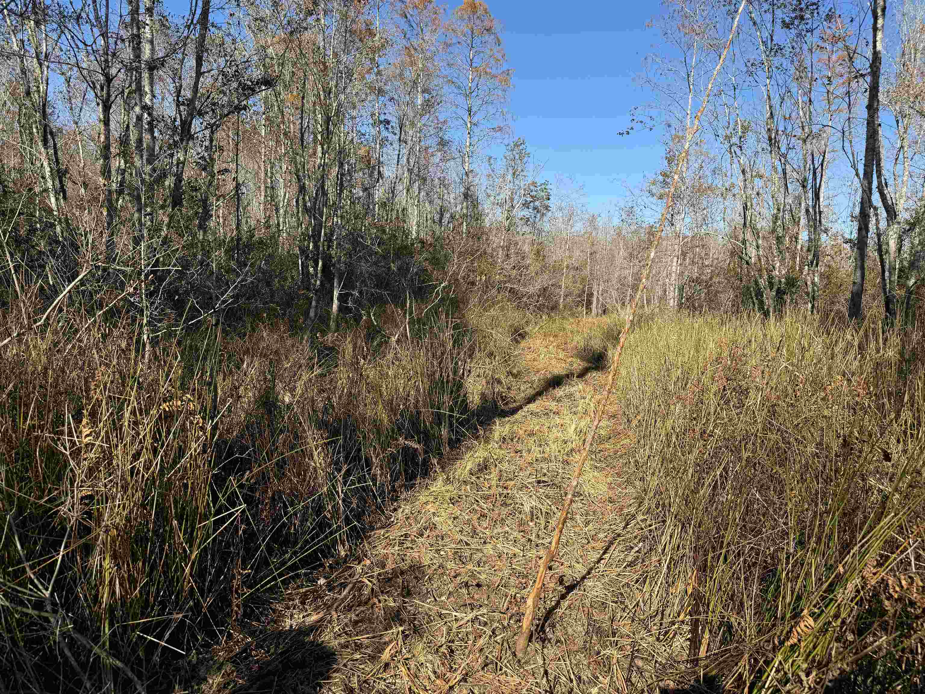 651 Northwest Flowers Road Madison, FL 32340 - Photo 17 of 20