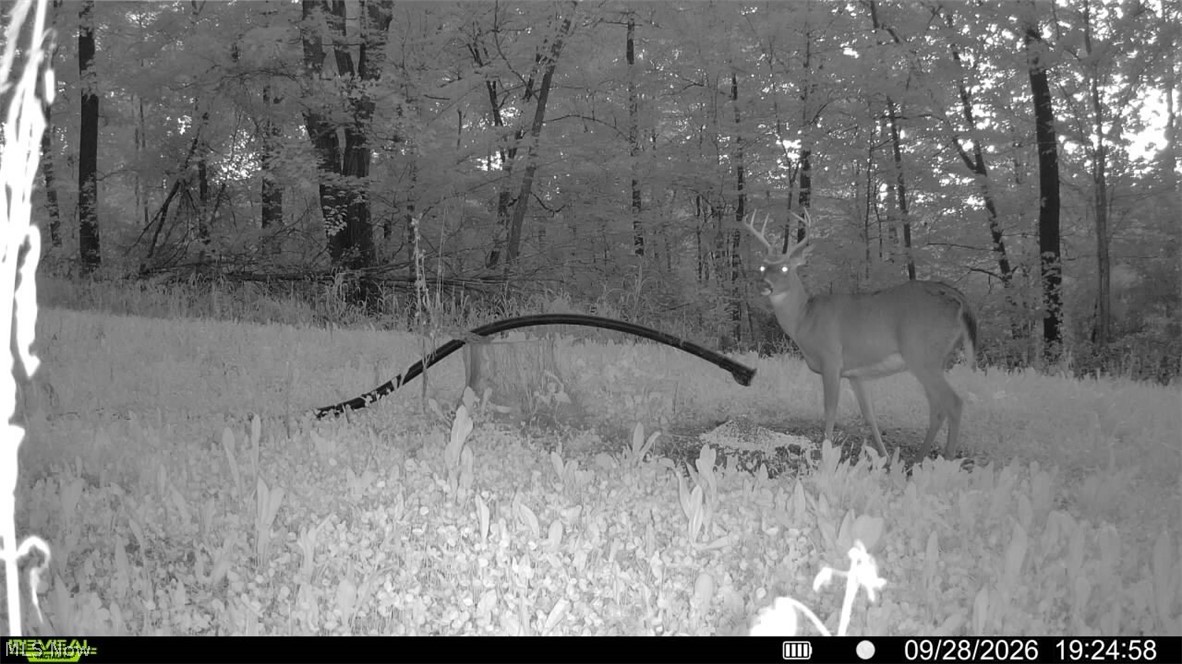 Richards Rd Road Cambridge, OH 43725 - Photo 13 of 50 Gallery Image 13