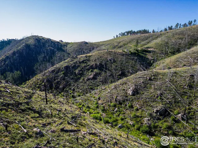 $230,000 | 100 Quantum Court, Bellvue, CO 80512