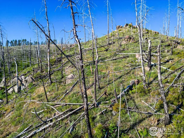 $230,000 | 100 Quantum Court, Bellvue, CO 80512