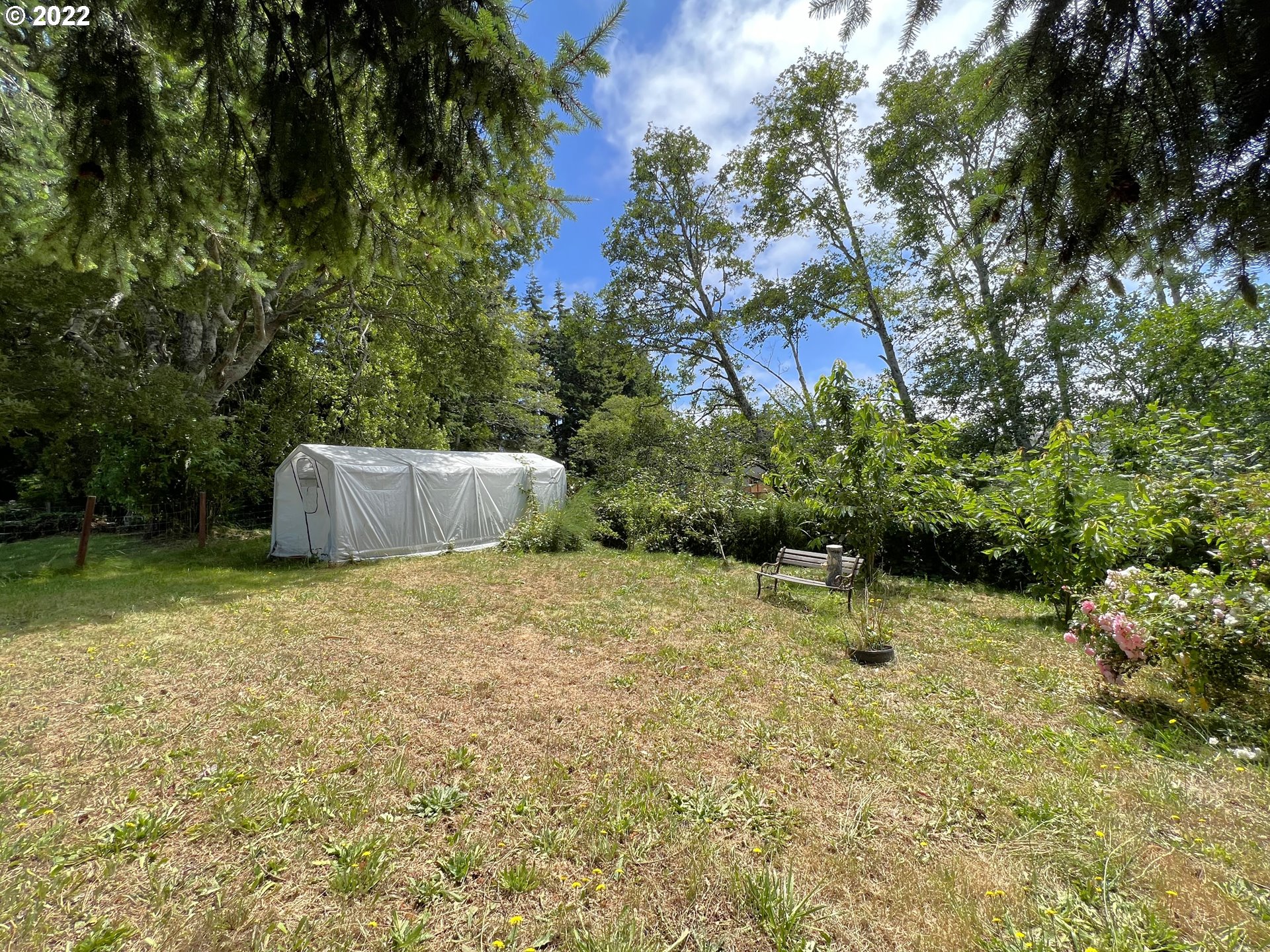 2690 Everett Avenue North Bend, OR 97459 - Photo 22 of 32 a backyard of a house with a yard and tree