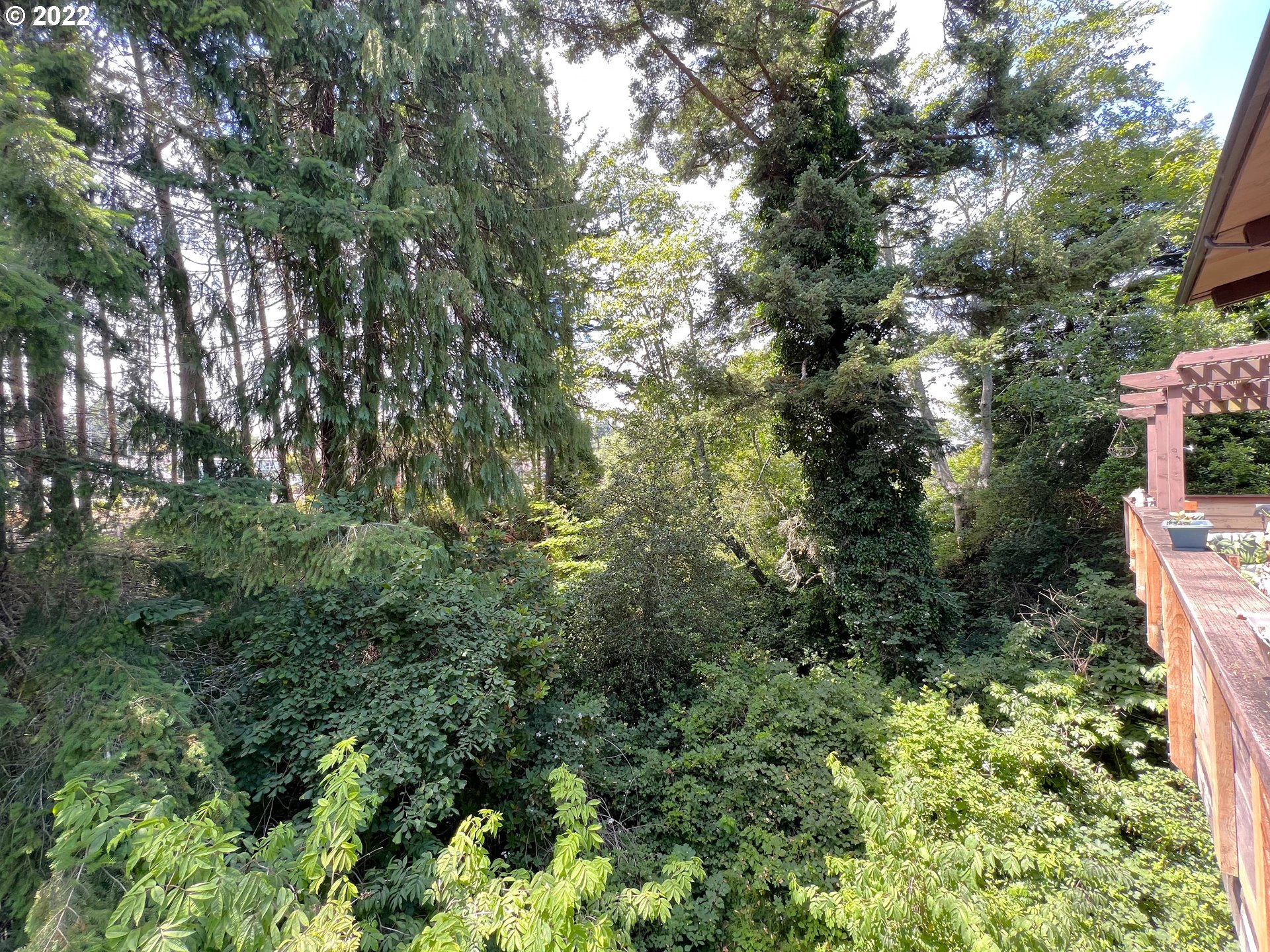 2690 Everett Avenue North Bend, OR 97459 - Photo 27 of 32 a view of a forest