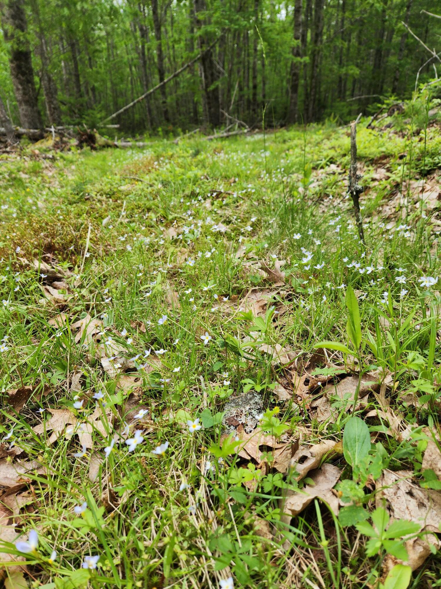 131 River Road Edgecomb, ME 04556 - Photo 16 of 28 20230606_122359