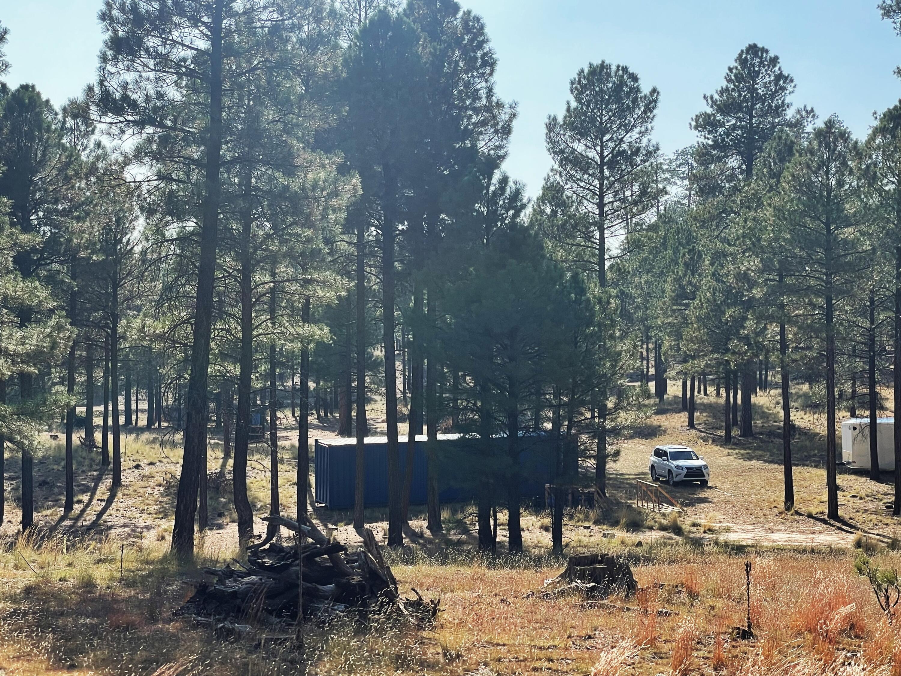 7337 Forest Service 122 Road Happy Jack, AZ 86024 - Photo 21 of 33