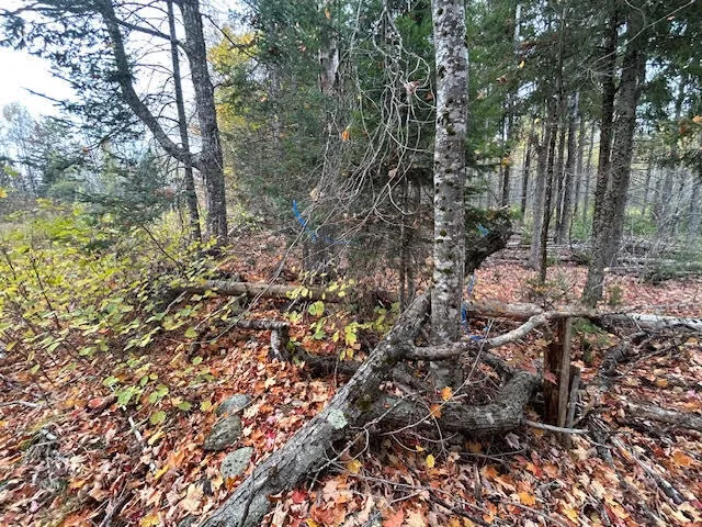 $65,000 | 6-l 2.01 Murray Road, Thorndike, ME 04986