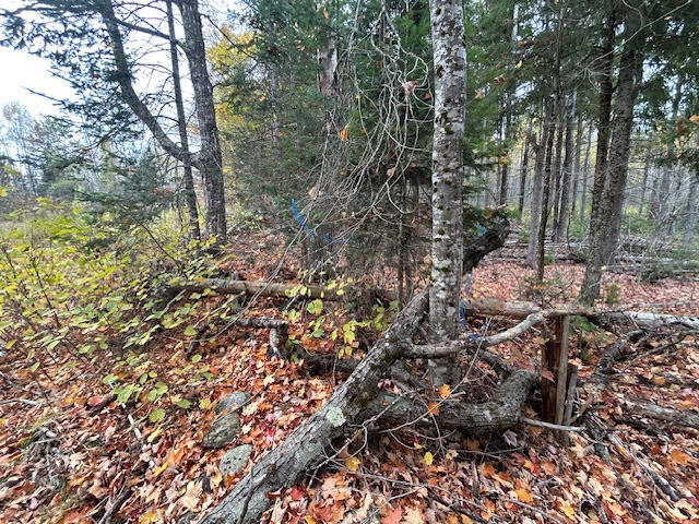 6-l 2.01 Murray Road Thorndike, ME 04986 - Photo 2 of 7 unnamed (6)