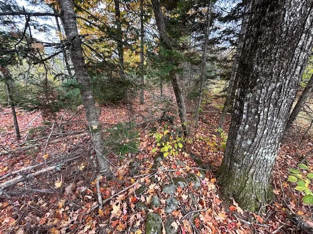 $65,000 | 6-l 2.01 Murray Road, Thorndike, ME 04986