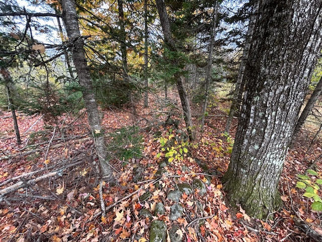 6-l 2.01 Murray Road Thorndike, ME 04986 - Photo 3 of 7 unnamed (5)